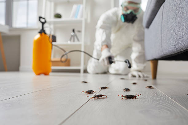 Commercial Kitchen Cockroach Control in Mooresville